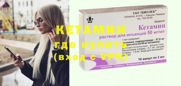 гидра Няндома