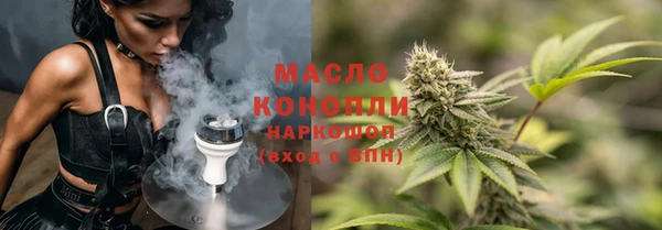 гидра Няндома