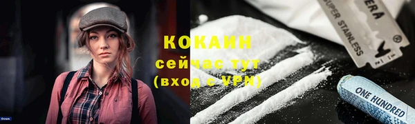 крисы Новокубанск