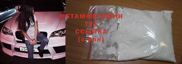 крисы Новозыбков