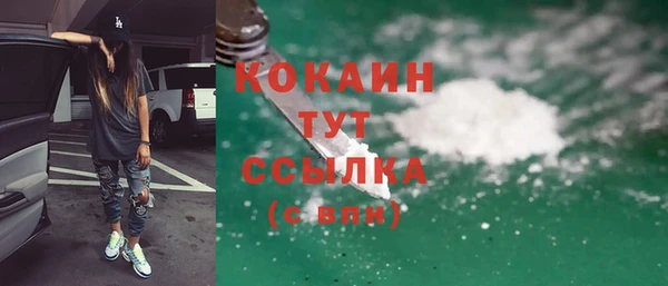 крисы Новозыбков