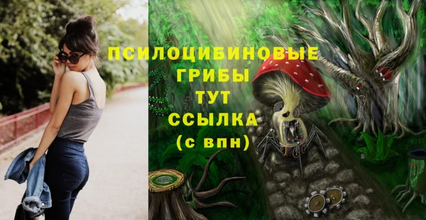 амфетамин Новодвинск