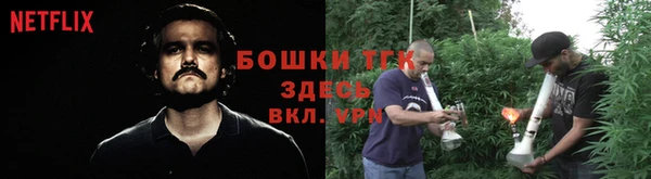 крисы Новокубанск