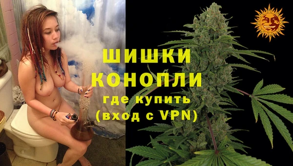 крисы Новозыбков