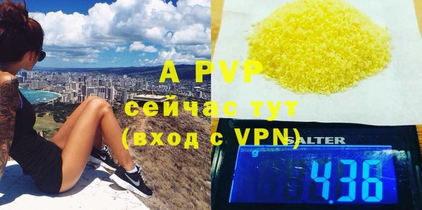 крисы Новокубанск