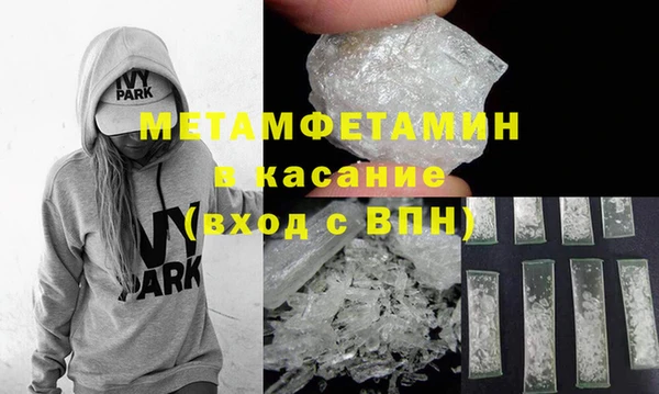гидра Няндома