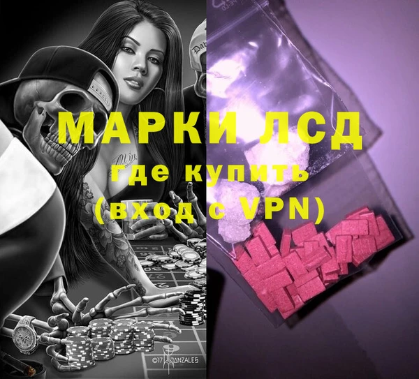 крисы Новозыбков