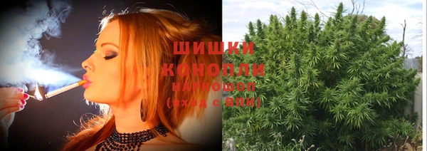 амфетамин Новодвинск