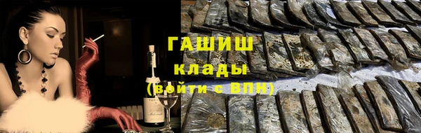 гидра Няндома