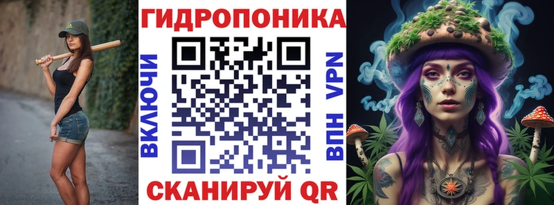 купить  сайты  Тосно  Каннабис OG Kush 